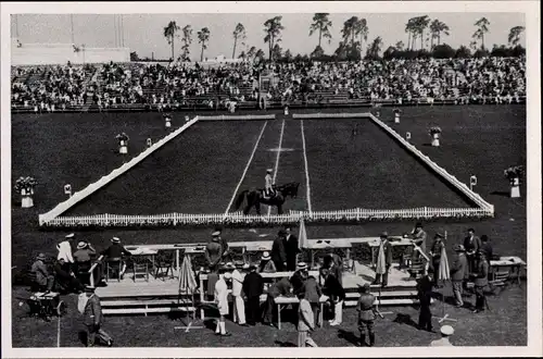 Sammelbild Olympia 1936, Dressurprüfung auf dem Maifeld