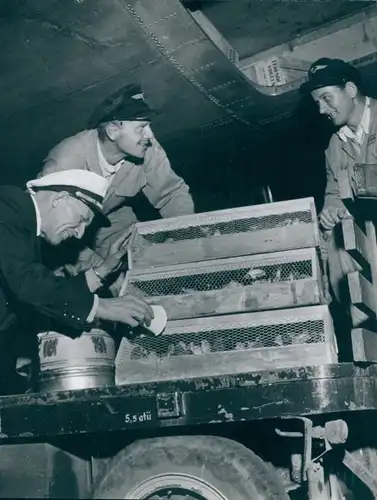 Foto Berlin West 1956, Flughafen Tempelhof, Verladung von Fracht, Arbeiter