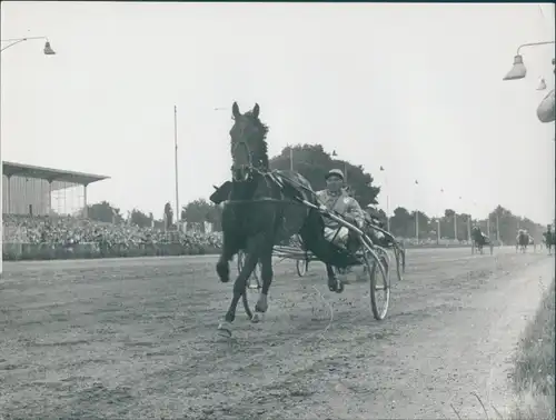 Foto Berlin West 1954, Trabrennbahn Mariendorf, Pferderennbahn