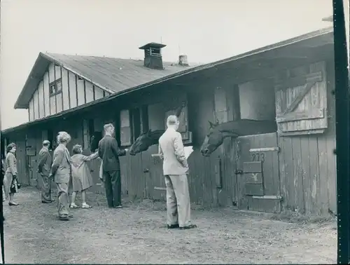 Foto Berlin West 1954, Trabrennbahn Berlin Mariendorf, Pferde in Ställen