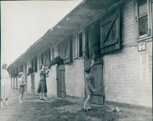 Foto Berlin West 1954, Trabrennbahn Berlin Mariendorf, Pferde in Ställen