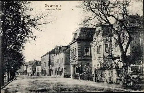 Ak Großenhain Sachsen, Johannes-Allee
