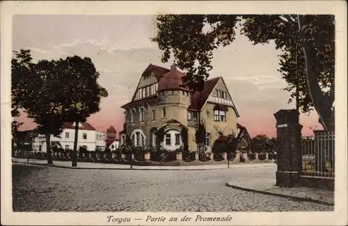 Ak Torgau an der Elbe, Partie an der Promenade