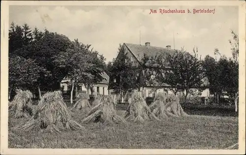 Ak Berthelsdorf Weißenborn im Erzgebirge, Am Röschenhaus