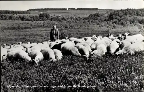 Ak Nijverdal Overijssel Niederlande, Schaapherder, Schafe, Schäfer