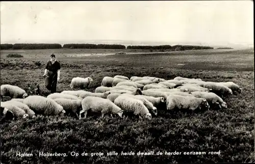 Ak Holten Overijssel Niederlande, Schaapherder op de Holterberg