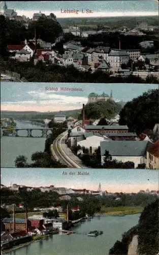 Ak Leisnig an der Freiburger Mulde Sachsen, Schloss Mildenstein, Blick auf den Ort, Flusspartie