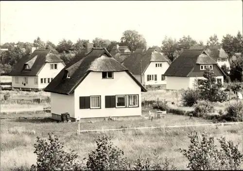 Ak Ostseebad Ahrenshoop Fischland, Reetdachhäuser, Siedlung am Hochufer