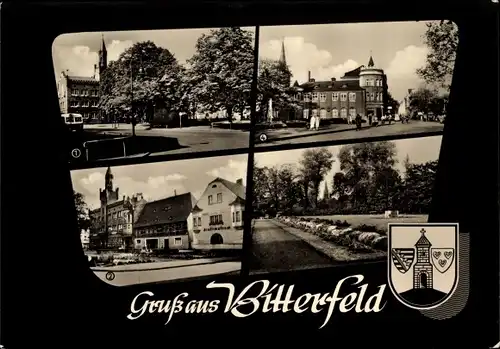 Ak Bitterfeld in Sachsen Anhalt, Markt mit Rathaus, Stadtpark, Stadtmuseum, Walther Rathenau Straße