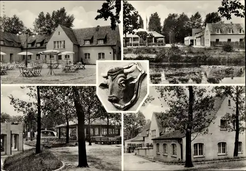 Ak Rotta Kemberg Dübener Heide, Ferienheim Ochsenkopf, Ortschaft