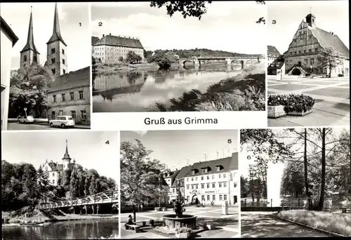 Ak Grimma in Sachsen, Frauenkirche, Muldebrücke, Rathaus, Gattersburg, Hängebrücke, Marktbrunnen
