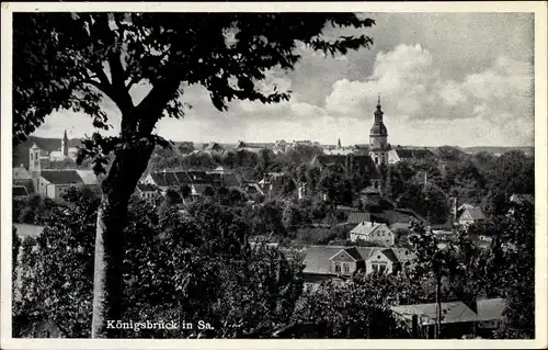 Ak Königsbrück in der Oberlausitz, Panorama