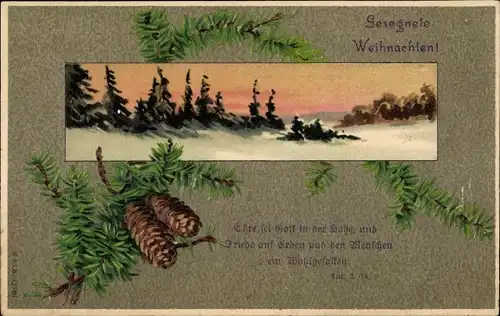 Präge Ak Glückwunsch Weihnachten, Tannenzweige, Zapfen, Wald