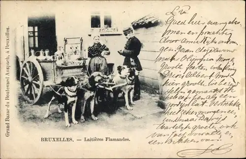 Ak Bruxelles Brüssel, Laitieres Flamandes, Hundekarre