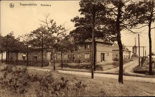 Ak Tessenderlo Flandern Limburg, Molenberg, Windmühle