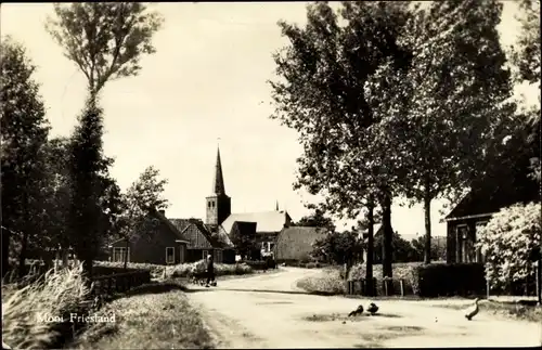 Ak Hallum Friesland Niederlande, Straßenpartie