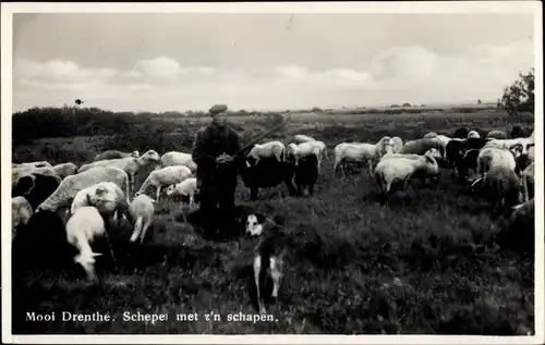 Ak Mooi Drenthe, Scheper met schapen, Schafe, Hund, Schäfer