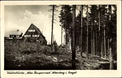 Ak Altenberg im Erzgebirge, Waldschänke Altes Raupennest, Nadelwald
