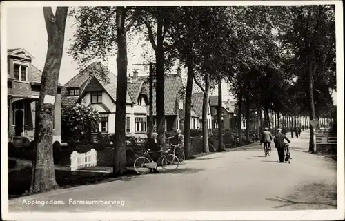 Ak Appingedam Groningen Niederlande, Farmsummerweg
