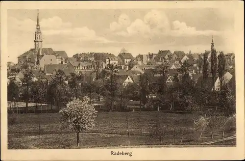 Ak Radeberg in Sachsen, Panorama