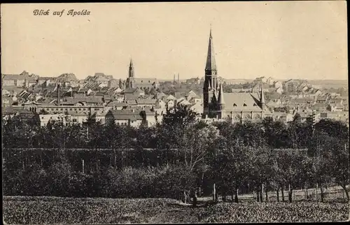 Ak Apolda in Thüringen, Panorama