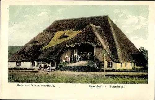 Ak Bergalingen Rickenbach im Hotzenwald in Baden Wüttemberg, Hozenhof