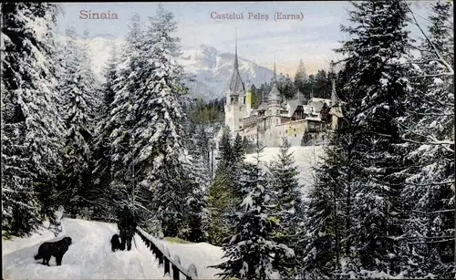 Ak Sinaia Rumänien, Castelul Peleș, Earna, Schloss Winteransicht
