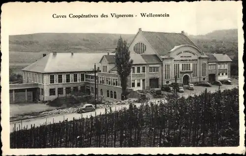 Ak Wellenstein Schengen Luxemburg, Caves Cooperatives des Vignerons
