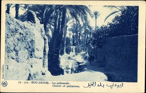 Ak Bou Denib Marokko, La palmeraie, Cluster of palmtrees