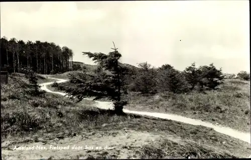 Ak Nes Ameland Friesland Niederlande, Fietspad door bos en duin