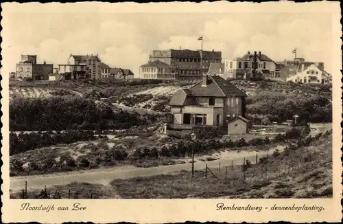 Ak Noordwijk aan Zee Südholland, Rembrandtweg, dennenbeplanting