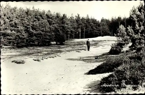 Ak Appelscha Fryslân Friesland Niederlande, Duingezicht