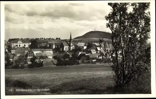 Ak Altenberg im Erzgebirge, Panorama