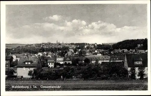 Ak Waldenburg in Sachsen, Panorama