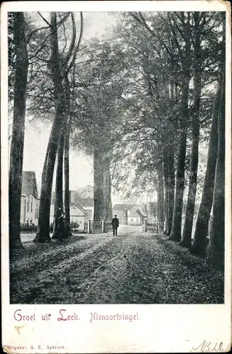 Ak Leek Groningen Niederlande, Nienoortsingel