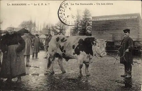 Ak La Vie Normande, un bon eleve, Bauer in Tracht mit Rind