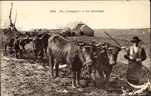 Ak Nos Campagnes, le labourage, Mann mit Rindern