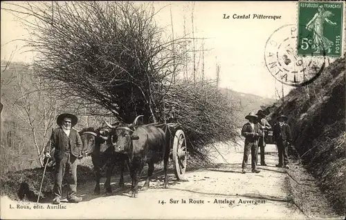 Ak Le Cantal Pittoresque, Sur la Route, Attelage Auvergnat