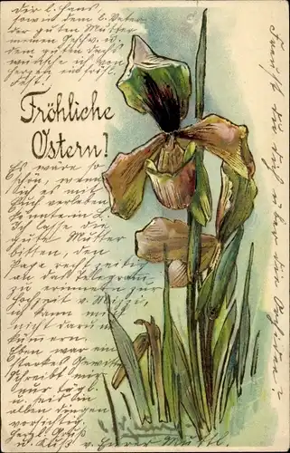 Präge Litho Glückwunsch Ostern, Einzelne Blüte
