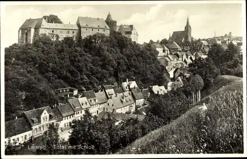 Ak Leisnig in Sachsen, Vogelschau auf das Schloss, Umgebung