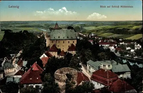 Ak Leisnig in Sachsen, Blick auf das Schloss Mildenstein