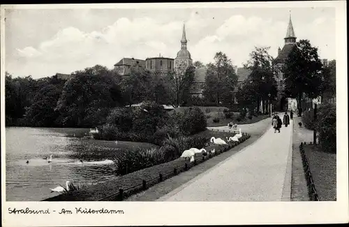 Ak Stralsund in Vorpommern, Am Küterdamm, Schwäne, Spaziergänger