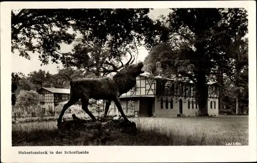 Ak Schorfheide in Brandenburg, Forsthaus Hubertusstock