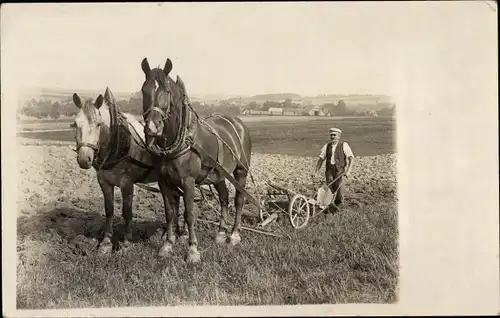 Foto Ak Bauer mit Pferdepflug auf dem Feld, Zugpferde