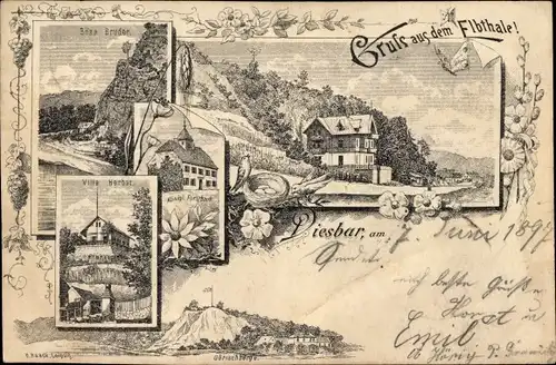 Litho Diesbar Seußlitz Nünchritz an der Elbe, Forsthaus, Villa Herbst, Böse Bruder