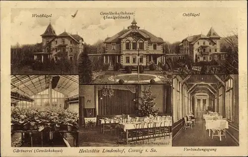 Ak Coswig in Sachsen, Heilstätte Lindenhof, Gärtnerei, West- und Ostflügel, Gesellschaftshaus