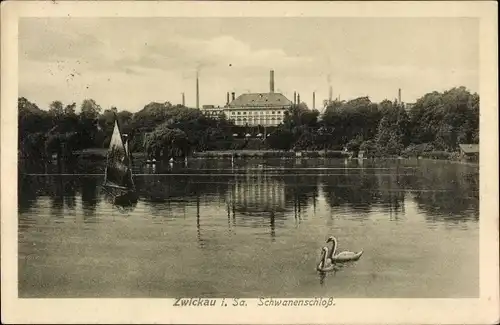 Ak Zwickau in Sachsen, Schwanenschloss, Schwäne