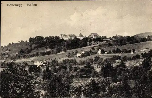 Ak Meilen Kanton Zürich, Totalansicht, Hohenegg