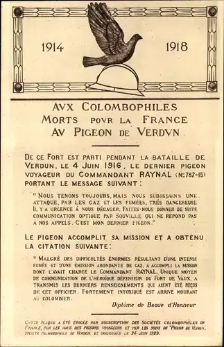 Ak Aux Colombophiles Morts pour la France au Pigeon de Verdun