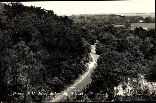 Ak Bergen Nordholland Niederlande, In de duinen bij Schoorl